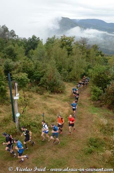 Trail du Haut-Koenigsbourg 2013