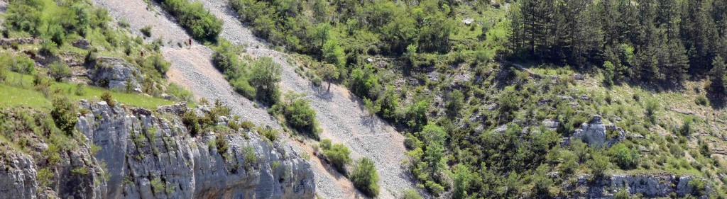 Lozere Trail 2014,  4 courses au programme