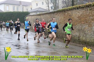 LA MONTEE DES JONQUILLES 2015