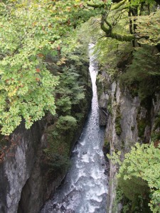 Samoens Trail Tour 2015