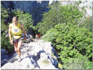 Signes Trail 2015