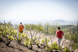 beaujolais challenge trail 2