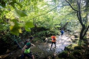 TRAIL_LYON_VERT©CRESPEAU_DSC5024