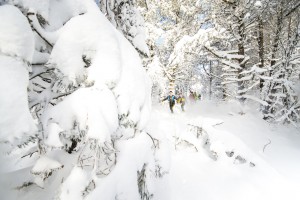 TRAIL_BLANC_SANCY-2016 3