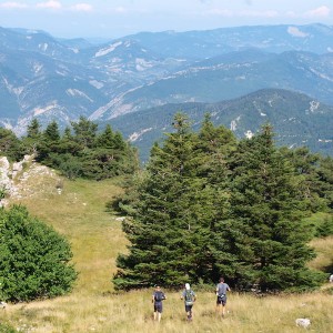 Ultra-Tour-de-la-Motte-Chalancon-en-Drome-Provencale les 23 & 24 juillet 2016