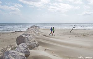 GRAND RAID DE CAMARGUE 2015 - COPYRIGHT MARJORIE PERROT