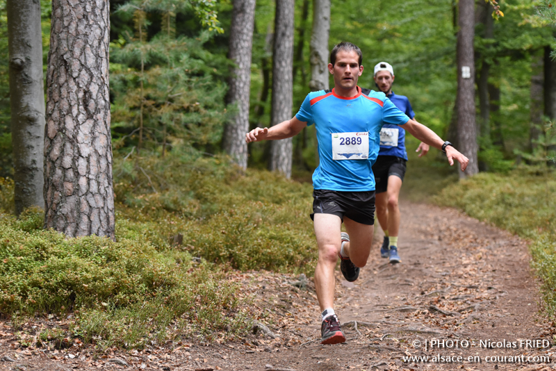 Trail du Haut-Koenigsbourg 2016