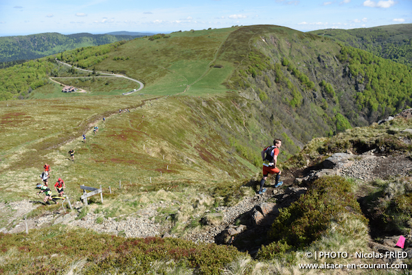 Trail des Marcaires 2017 - Nicolas Fried