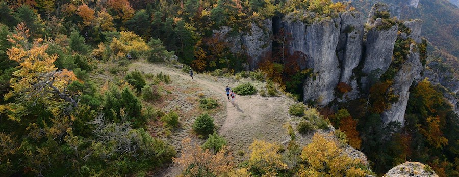 Templiers 2017 - paysage