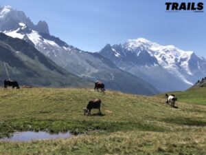 MCC 2018 - Paysages depuis col de BalmeJPG