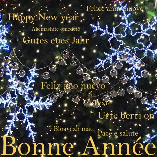 BONNE ANNÉE 2019