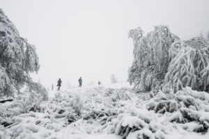 TRAIL HIVERNAL OXSITIS SANCY MONT DORE 2019