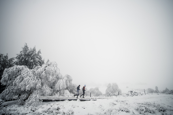 TRAIL HIVERNAL OXSITIS SANCY MONT DORE 2019