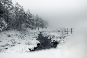 TRAIL HIVERNAL OXSITIS SANCY MONT DORE 2019