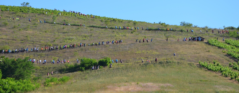 Trail De La Fontaine Des Anes 