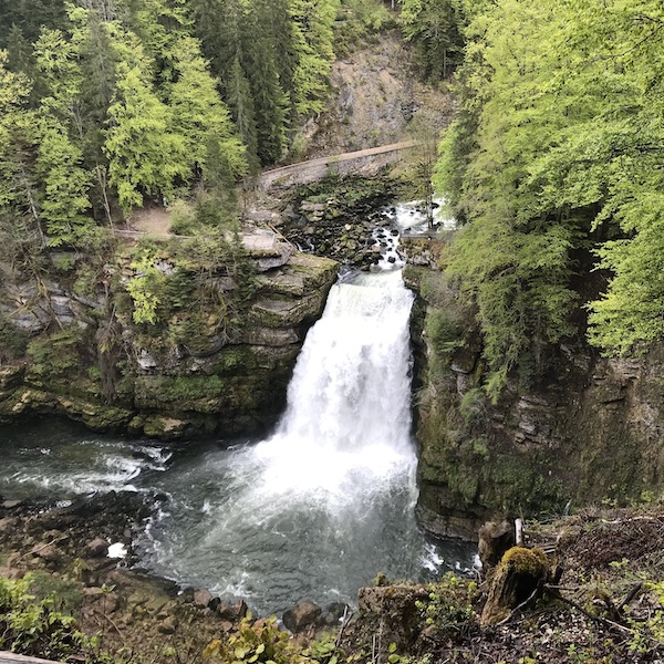 Le Trail du Saut du DOubs 2020