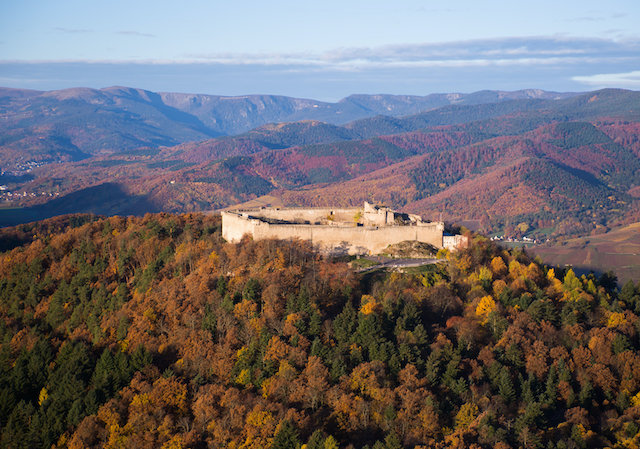 Trail Alsace Grand Est by UTMB