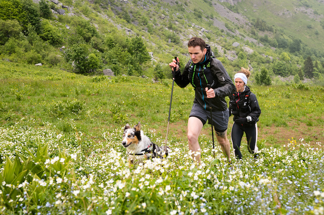 bâtons de trail